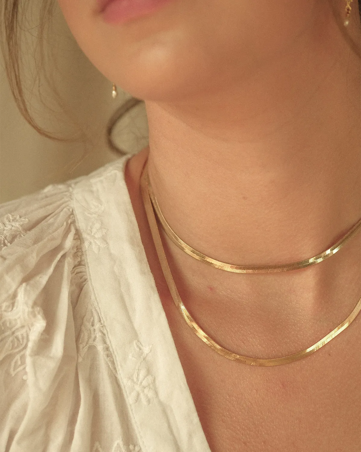 Adelina Flat Choker Necklace