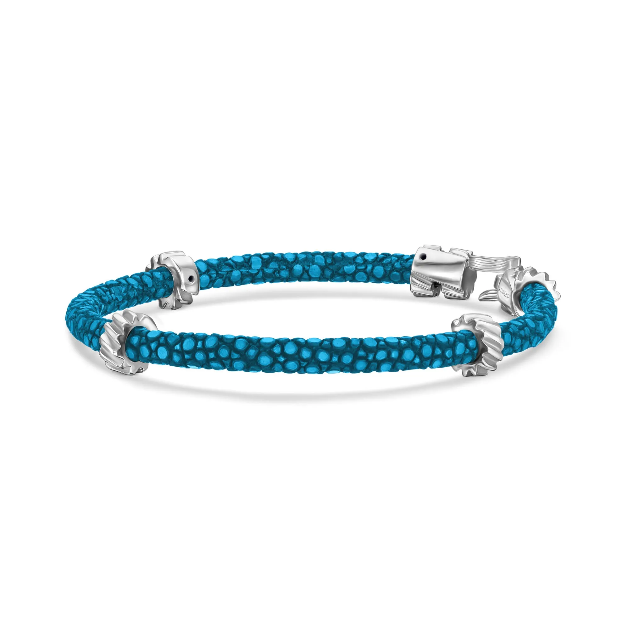 B497R Turquoise Stingray with Silver Gears