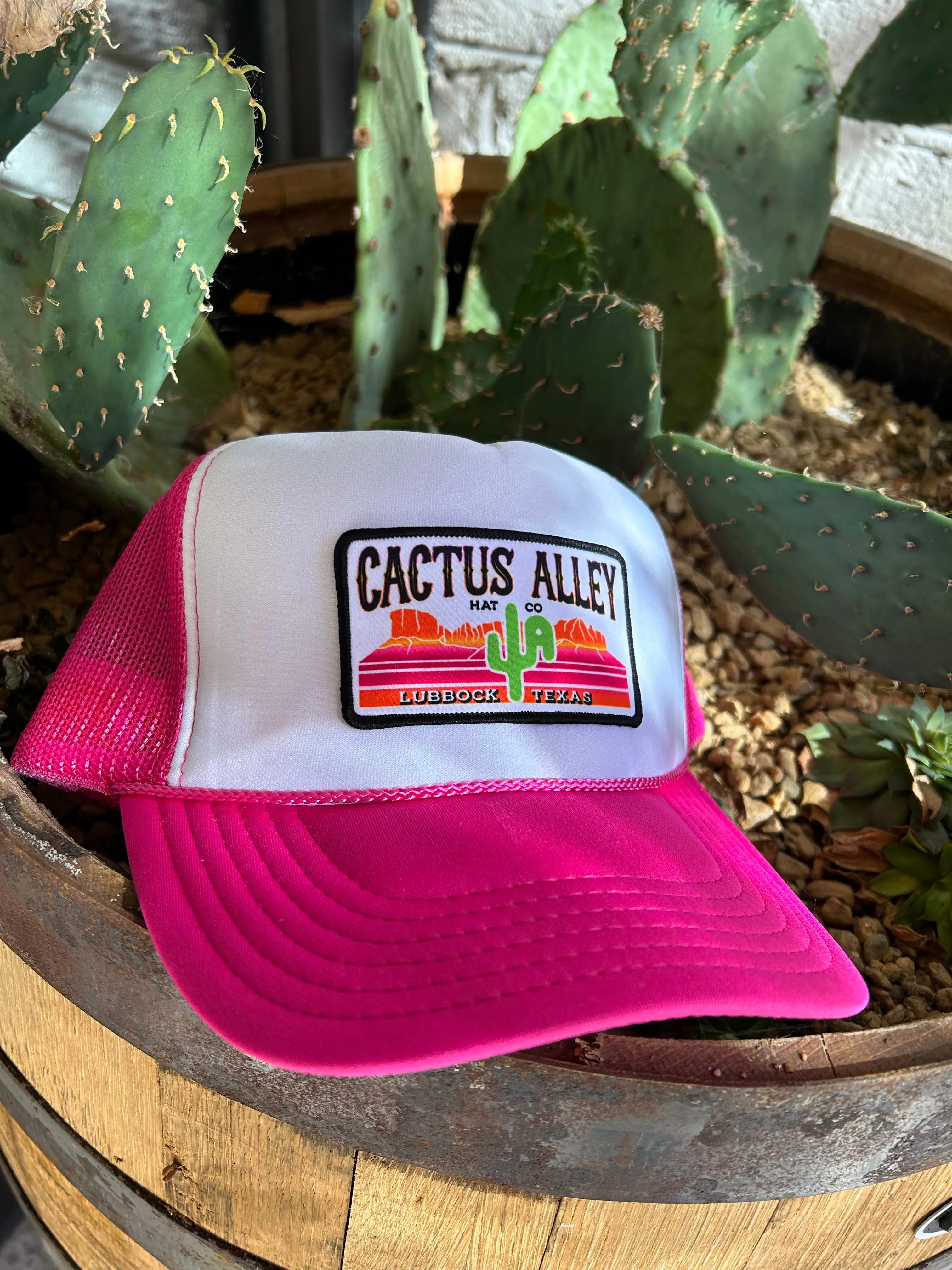 Cactus Alley Painted Pink Dessert