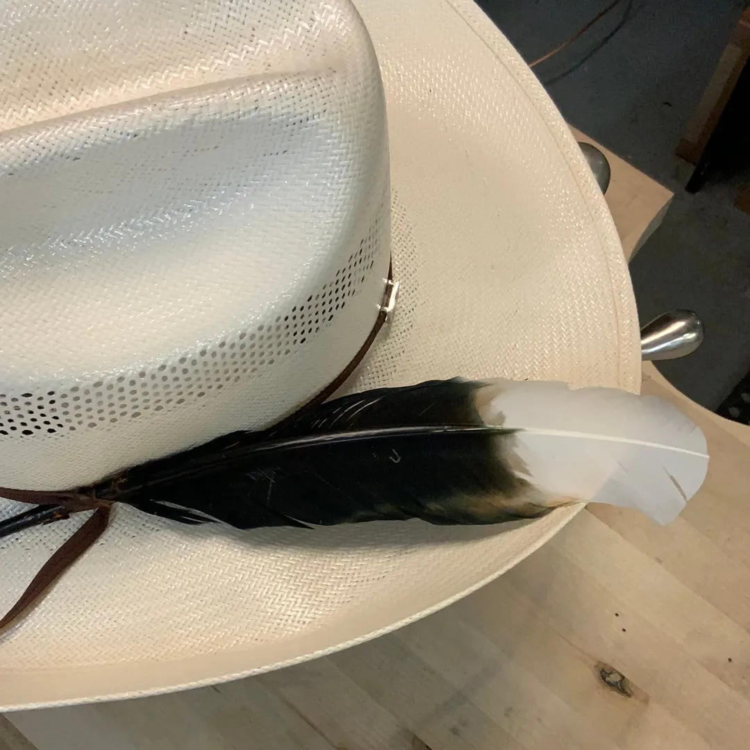 Feather | Imitation Eagle Black