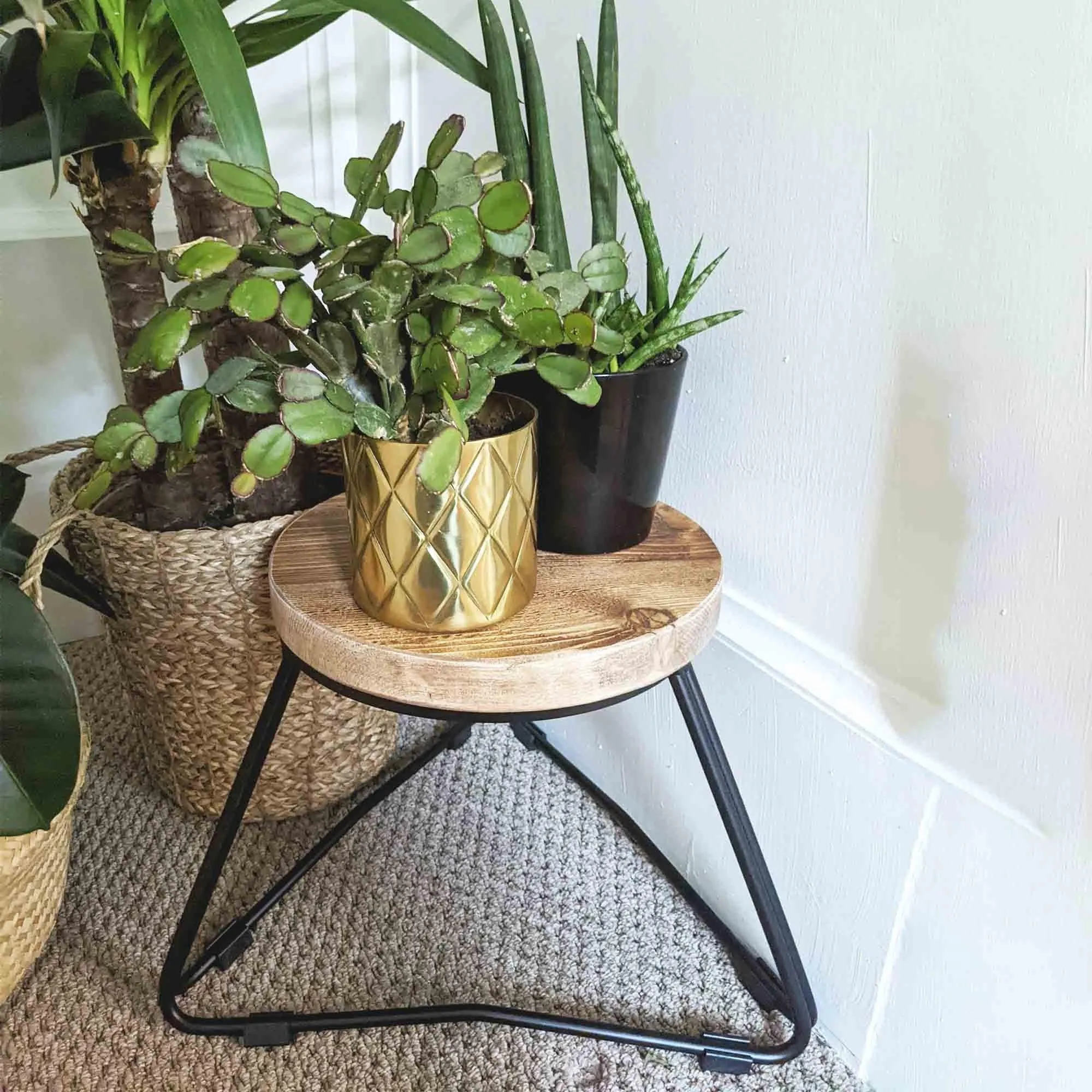 TIBBLE: Plant Stands