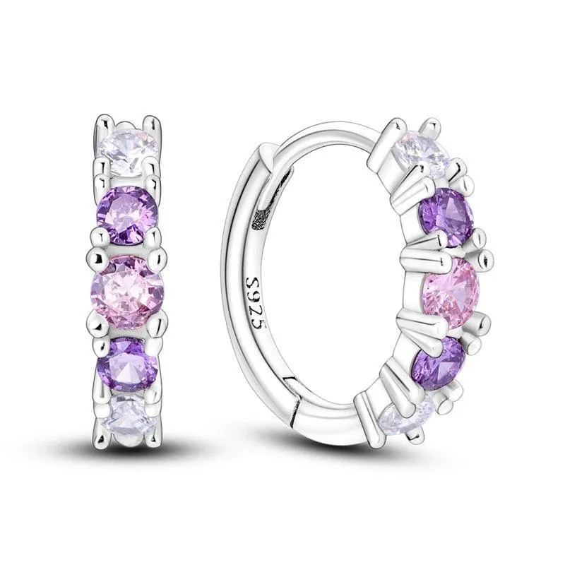 Zircon Heart Shaped Silver Earrings: Elegant Gift for Women’s Special Occasions